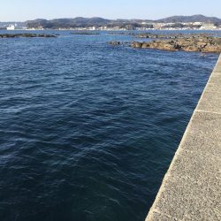 ウイリーサビキ